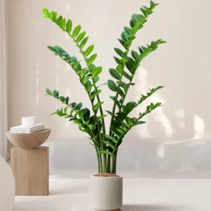 Planta Artificial Ficus Verde para Decoração de Interiores e Exteriores