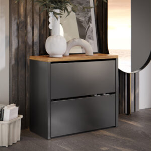 Sapateira Organizadora 2 Portas Basculante varias cores