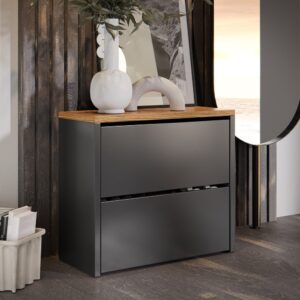 Sapateira Organizadora 2 Portas Basculante varias cores