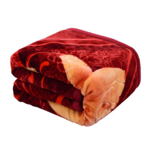 Cobertores Manta Soft Casal Padrão Micro Fibra Estampada Oferta