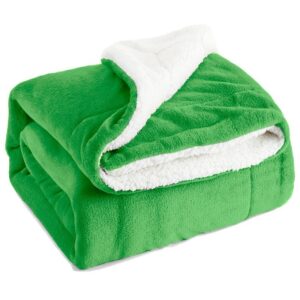 Cobertor Sherpa Dupla Face Bebê Felpuda Pelo Carneirinho Diversas Opções - Verde Tons Diversos