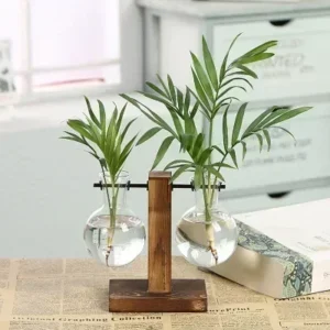 Terrário Hidropônico de Vidro com Suporte de Madeira para Decoração