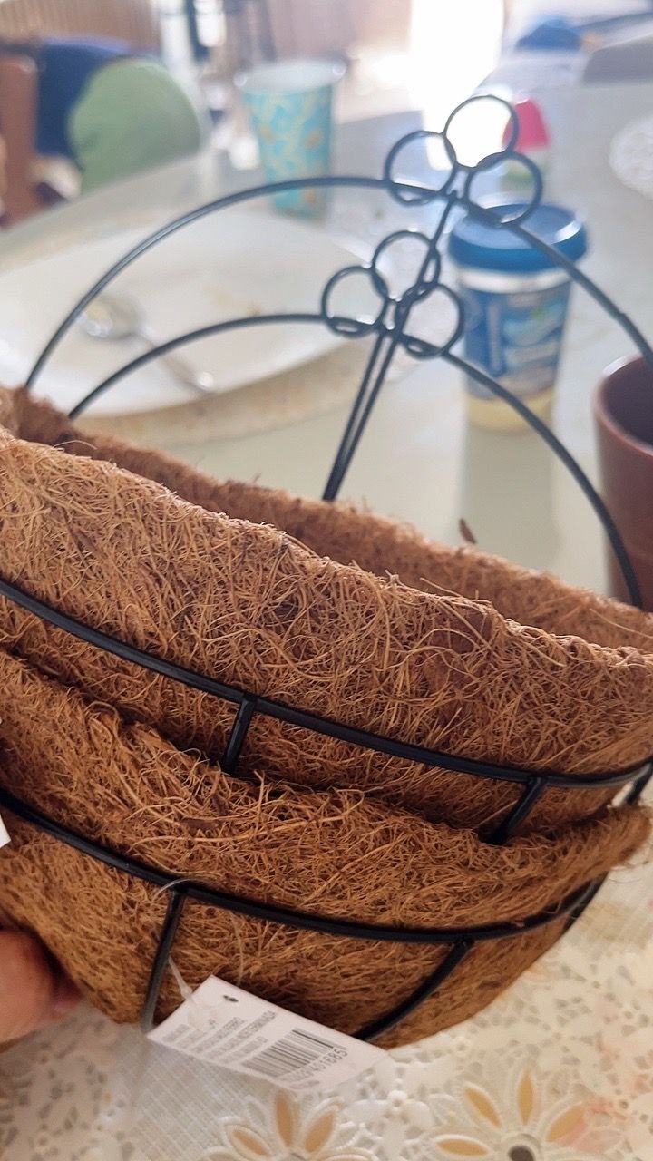 Kit 2 Peças Meio Vaso De Parede Fibra De Coco 20cm Arranjos Naturais PEQUENO