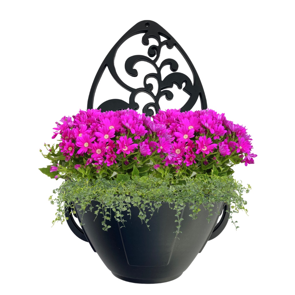 Kit 5 Vasos Arandelas Com Suporte Para Flores Suculentas E Plantas Vaso Meia Lua Para Parede