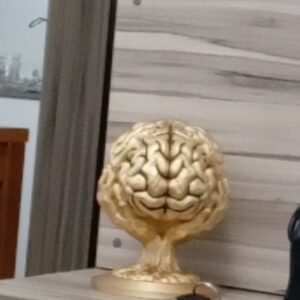 Cérebro humano decoração cor ouro velho