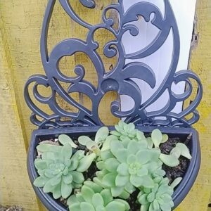 Kit 5 Vasos Arandelas Com Suporte Para Flores Suculentas E Plantas Vaso Meia Lua Para Parede