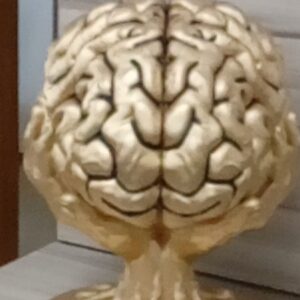 Cérebro humano decoração cor ouro velho
