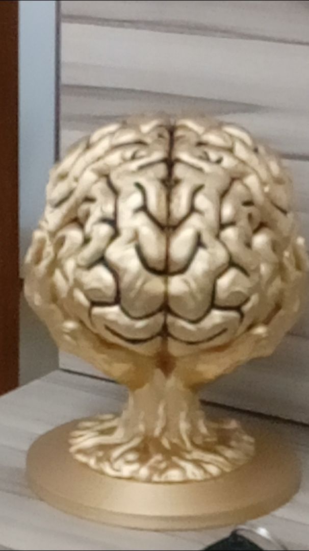 Cérebro humano decoração cor ouro velho