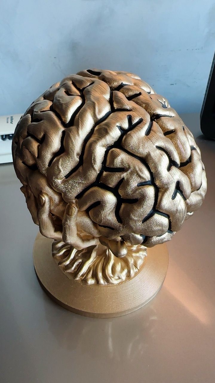 Cérebro humano decoração cor ouro velho